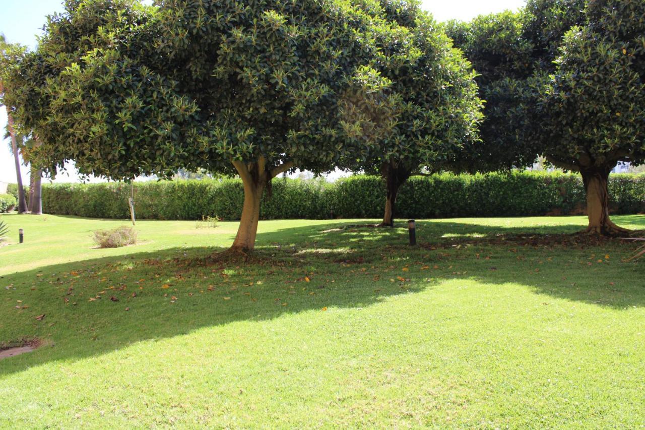 Apto. De 1 Dormitorio En Primera Linea De Playa. Isla Canela Huelva Extérieur photo